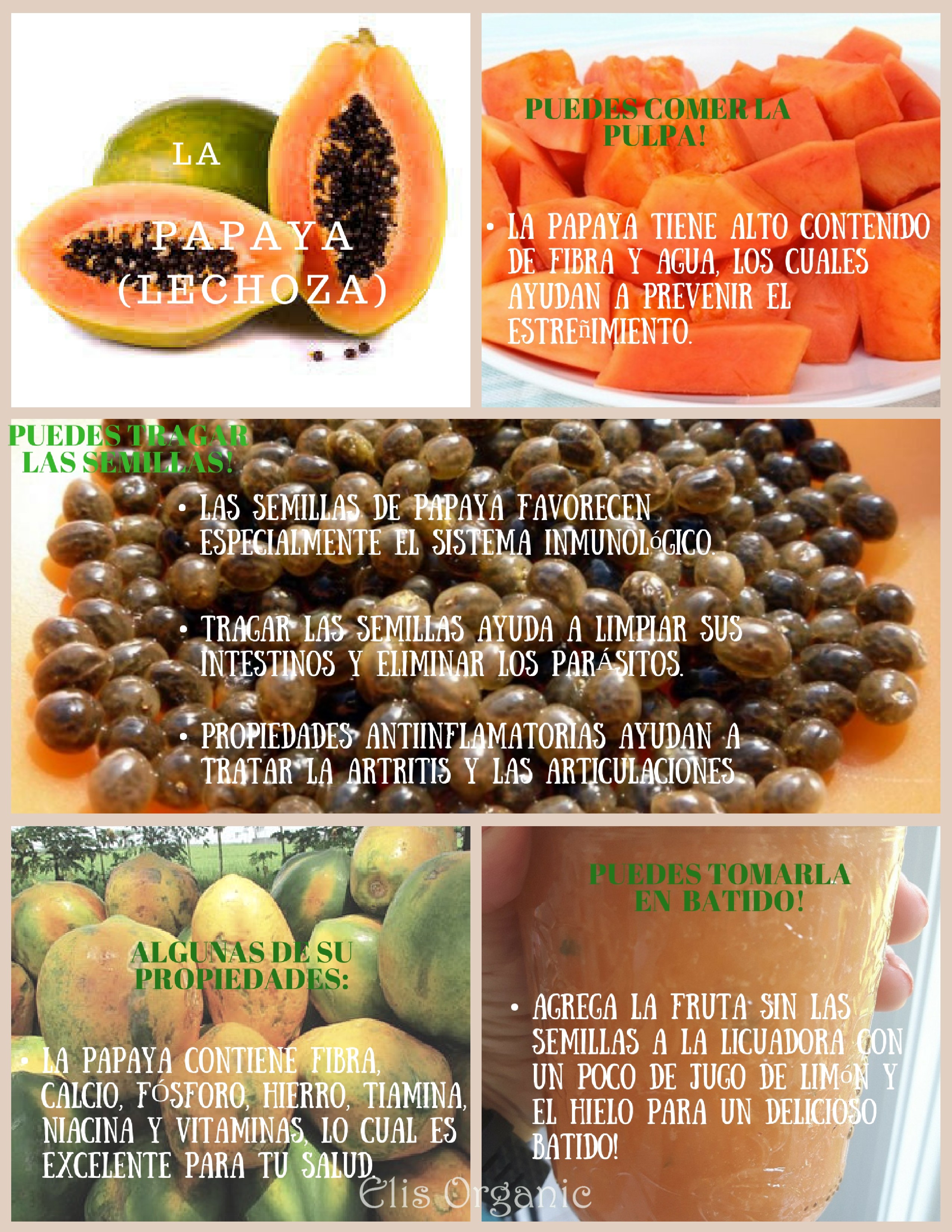 PAPAYA ES