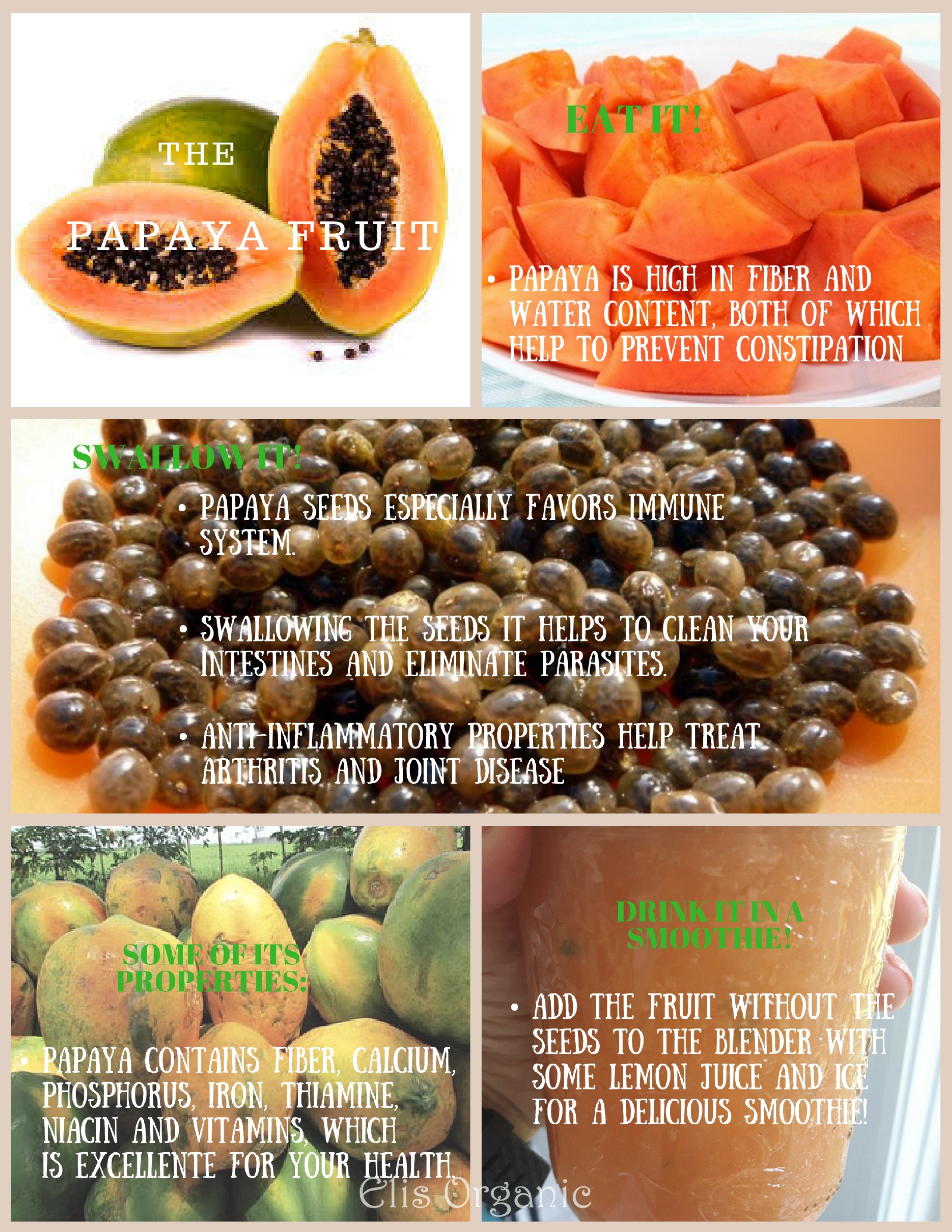 papaya fruit - en