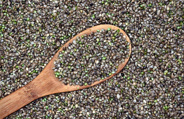 hemp seeds shelled