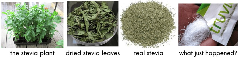 stevia process, proceso de la stevia