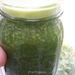 chlorophyll juice- jugo verde clorofila