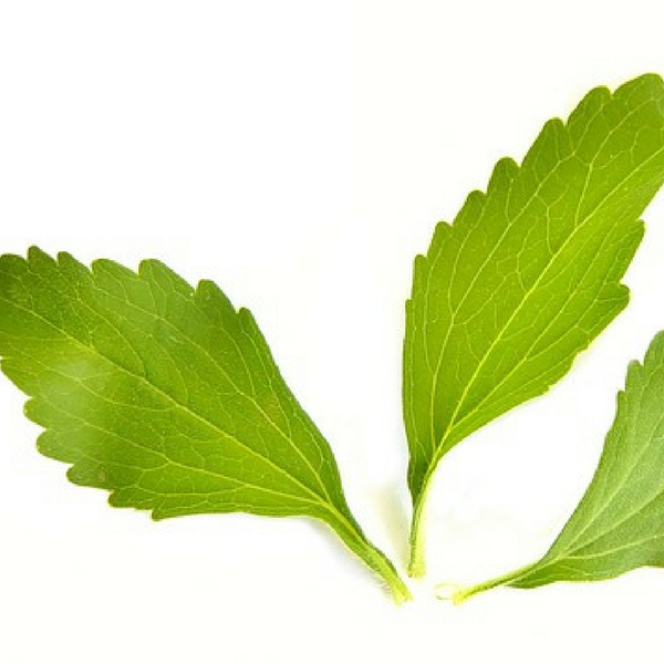 Stevia Leaves