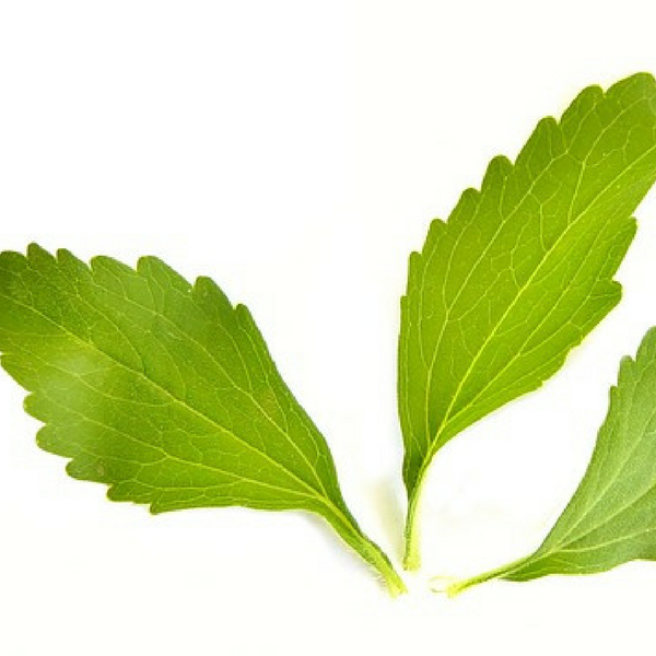 stevia leaves edited